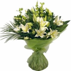 Fresh White Lillies from Flower Biz Christchurch